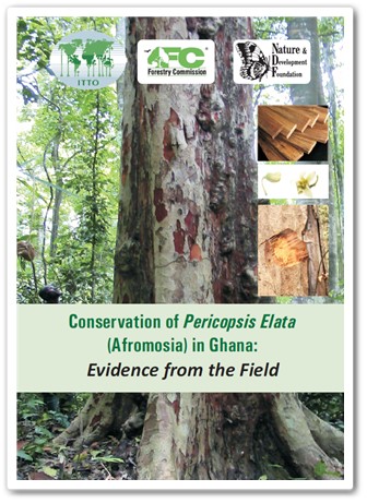Conserving afromosia in Ghana