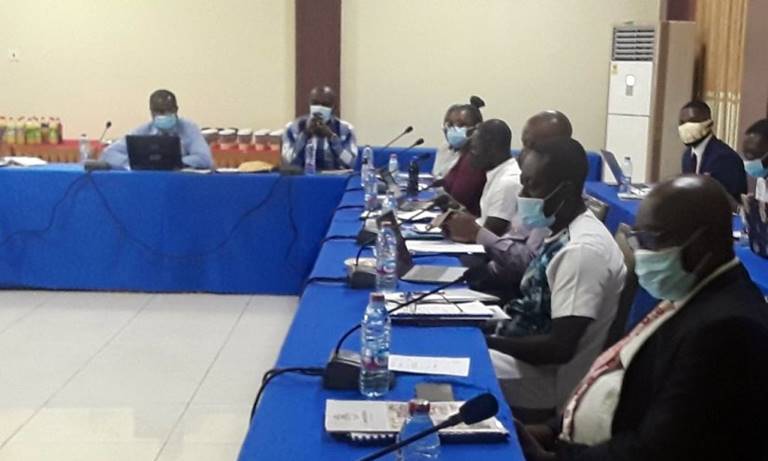 Read more about the article More resources needed for plantation development in Ghana – Study