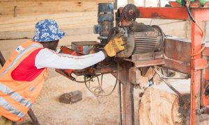 Read more about the article Ghanaian concession holders to receive training on legality and health and safety standards