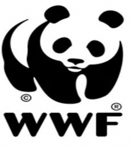 NDF - WWF JAPAN