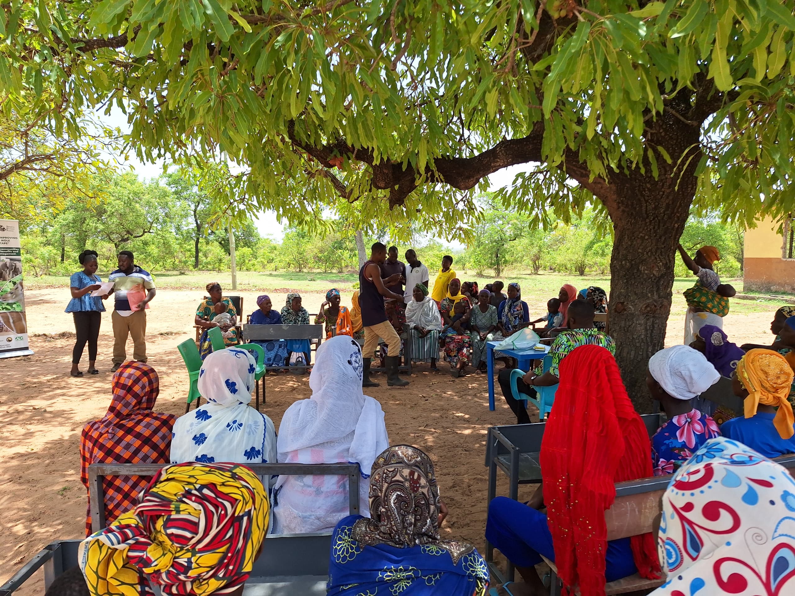 Read more about the article Empowering Women Shea Nut Pickers: Training and Tools Provided to Enhance Livelihoods and Conservation Efforts